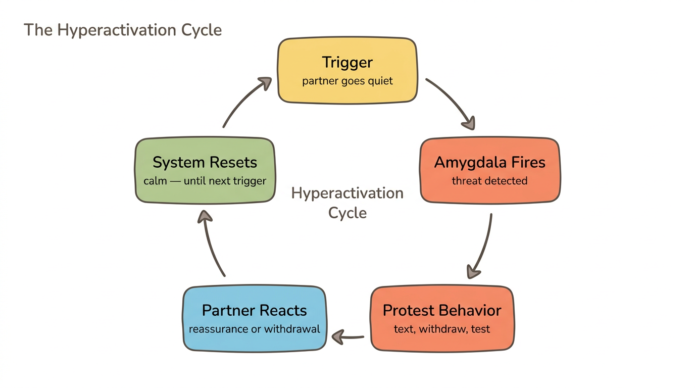 Diagram: Anxious Attachment Hyperactivation Cycle